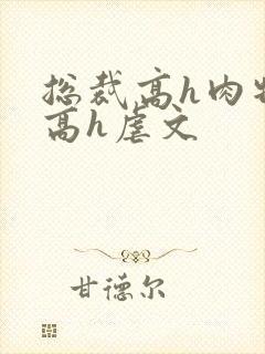 总裁高h肉特虐高h虐文