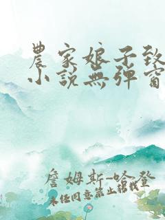 农家娘子致富记小说无弹窗