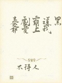 泰剧霸道黑帮少爷爱上我