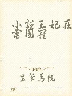 小说王妃在京城当团宠