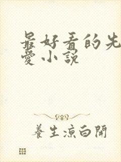 最好看的先婚后爱小说