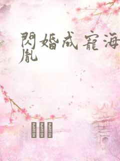 闪婚成宠海彤战胤