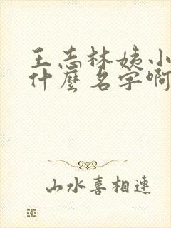 王志林姨小说叫什么名字啊
