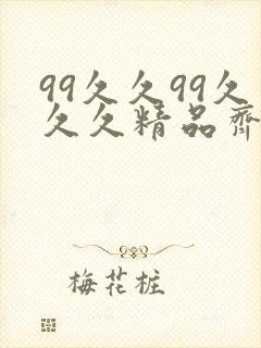 99久久99久久久精品齐齐