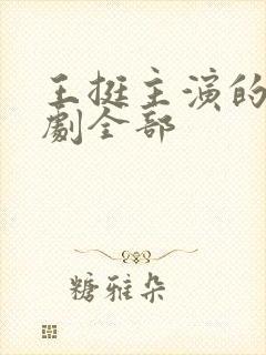 王挺主演的电视剧全部