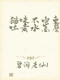 猫咪不吃东西还吐黄水怎么办