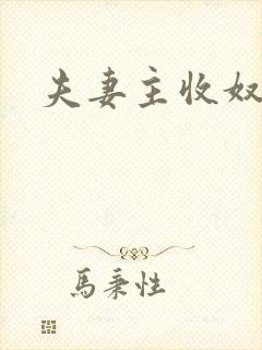 夫妻主收奴