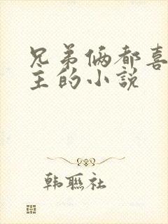 兄弟俩都喜欢女主的小说