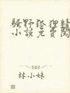 骚野狐狸精原著小说免费阅读笔趣阁