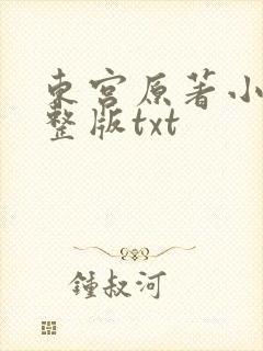 东宫原著小说完整版txt