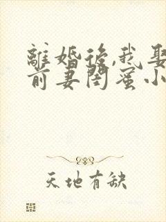 离婚后,我娶了前妻闺蜜小说阅读