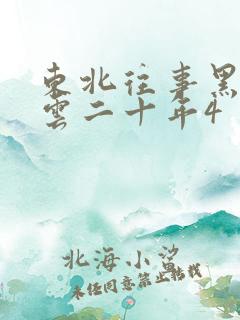 东北往事黑道风云二十年4