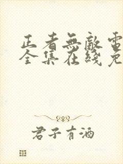 正者无敌电视剧全集在线免费观看