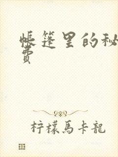 帐篷里的秘密免费