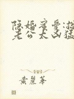 隐婚蜜爱:总裁老公太凶猛