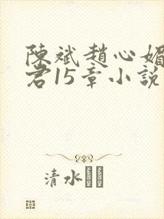 陈斌赵心媚高婉君15章小说