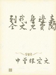 到我身边来小说全文免费阅读