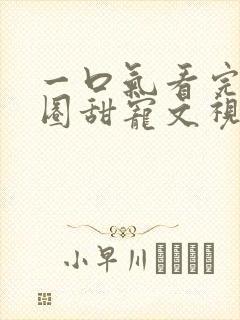 一口气看完娱乐圈甜宠文视频