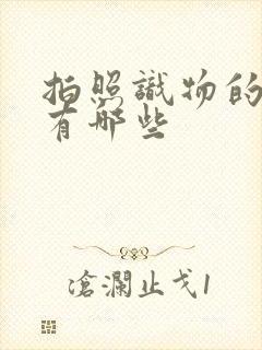 拍照识物的软件有哪些