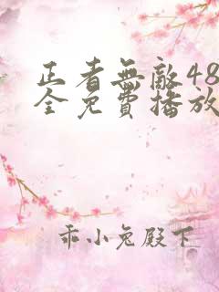 正者无敌48集全免费播放