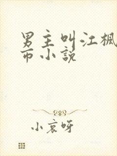 男主叫江枫的都市小说