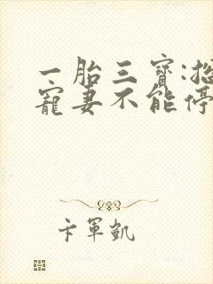 一胎三宝:总裁宠妻不能停