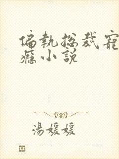 偏执总裁宠妻上瘾小说