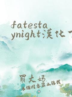 fatestaynight汉化下载