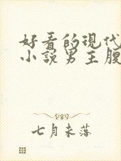 好看的现代言情小说男主腹黑