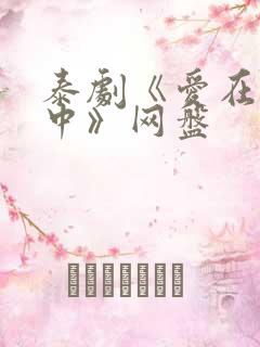 泰剧《爱在空气中》网盘