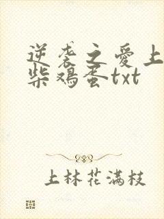 逆袭之爱上情敌柴鸡蛋txt