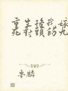 重生后我嫁给了死对头的九叔