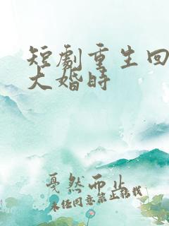 短剧重生回夫君大婚时