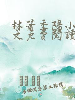 林萧季阳小说全文免费阅读