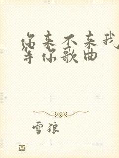 你来不来我都在等你歌曲