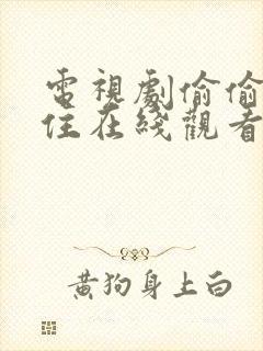 电视剧偷偷藏不住在线观看免费