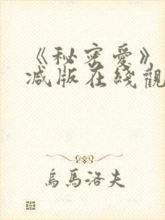 《秘密爱》未删减版在线观看