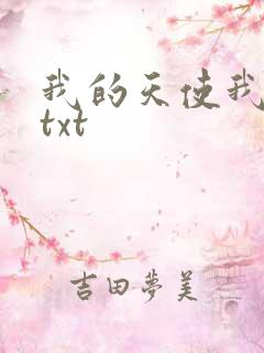 我的天使我的爱txt