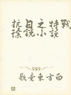 抗日之特战兵王徐锐小说