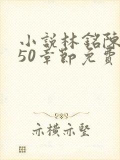 小说林铭陈佳450章节免费阅读