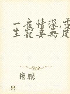 一夜情深,霍先生宠妻无度小说看