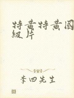 特黄特黄国产一级片