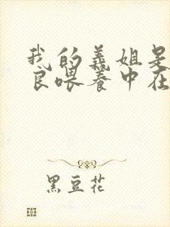 我的义姐是不是良喂养中在观看