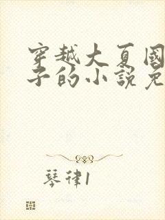 穿越大夏国九皇子的小说免费阅读