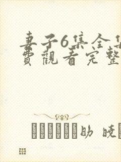 妻子6集全集免费观看完整版