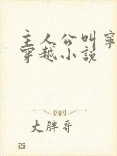 主人公叫宁宸的穿越小说