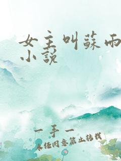 女主叫苏雨晴的小说