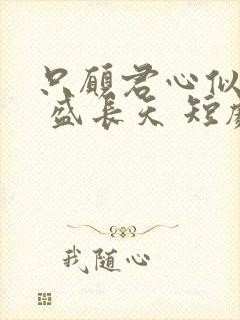 只愿君心似我心 盛长天 短剧