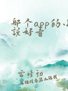 哪个app的小说好看