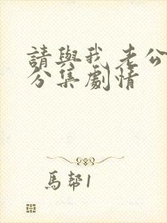 请与我老公结婚分集剧情